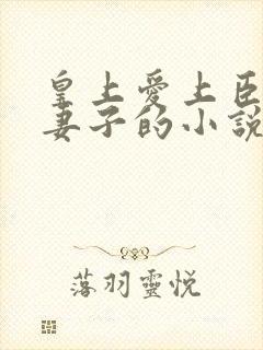 皇上爱上臣子的妻子的小说