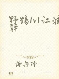 野鹤1v1江淮辞封面