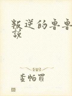 叛逆的鲁鲁修小说