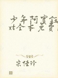 少年阿宾钰慧txt全本免费阅读