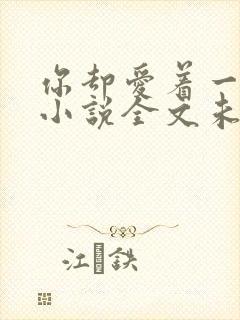 你却爱着一个他小说全文未删减免费封面