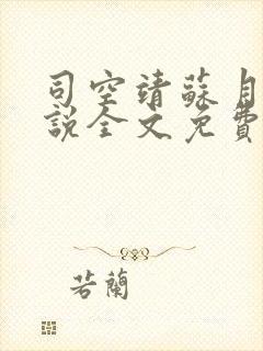 司空靖苏月汐小说全文免费阅读