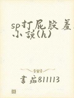 sp打屁股羞耻小说(h)