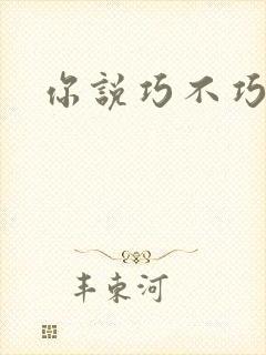 你说巧不巧封面