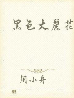 黑色大丽花图片