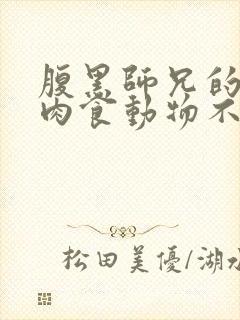 腹黑师兄的日常肉食动物不食草