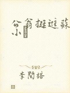 公翁挺进苏玥的小泬