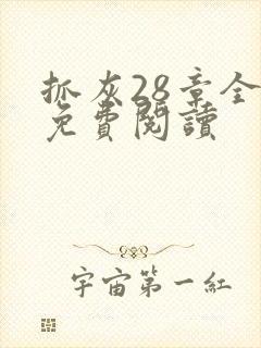 抓灰28章全部免费阅读封面