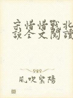 宋惜惜战北望小说全文阅读