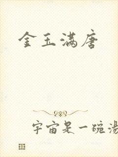 金玉满唐封面