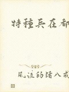 特种兵在都市