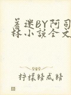 着迷BY阿司匹林小说全文免费阅读