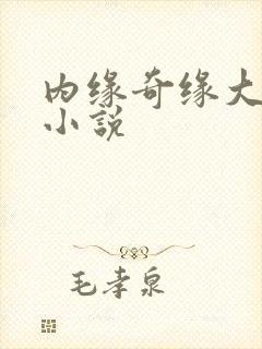 内缘奇缘大团圆小说