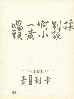 嗯～啊别揉我奶头黄小说封面