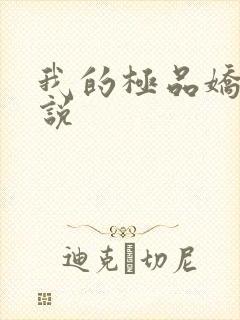 我的极品娇妻小说封面