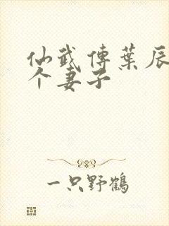 仙武传叶辰有几个妻子