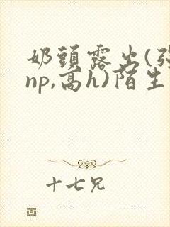 奶头露出(强jnp,高h)陌生人小说小说封面