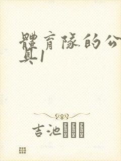 体育队的公用玩具1封面