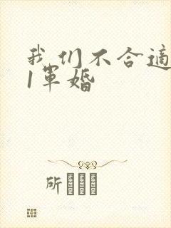 我们不合适1v1军婚