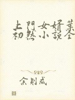 上门女婿叶辰萧初然小说全集