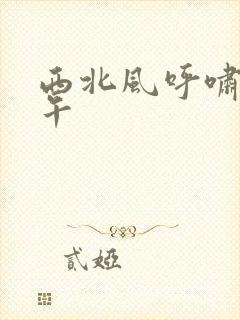 西北风呼啸的中午