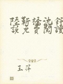 陆靳桥沈舒宁小说免费阅读最新章节