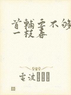 首辅要不够po一枝春