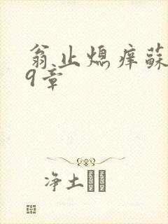 翁止熄痒苏钥第9章