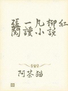 张一凡柳红免费阅读小说