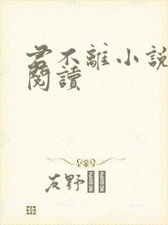 君不离小说免费阅读