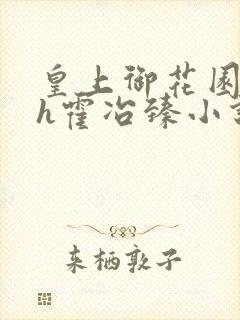 皇上御花园hlh霍冶臻小说封面