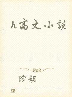 h高文小说
