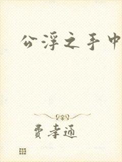 公浮之手中字5封面