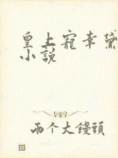 皇上宠幸黛玉的小说