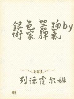 银色器物by艺术家脾气