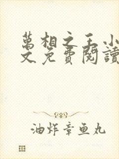 万相之王小说全文免费阅读全文