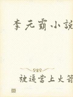李元霸小说封面