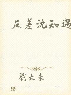 反差沈知遇晏应