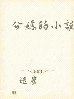 公媳的小说封面