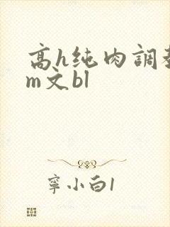 高h纯肉调教sm文bl