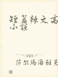 短篇辣文高h文小说封面