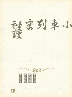 秘密列车小说阅读