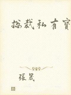 总裁私有宝贝封面