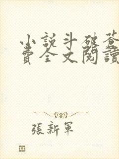 小说斗破苍穹免费全文阅读一封面