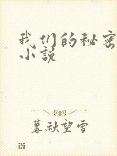 我们的秘密泰剧小说
