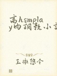 高hsmplay肉调教小说
