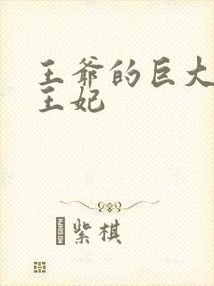 王爷的巨大进入王妃