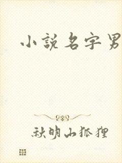 小说名字男生