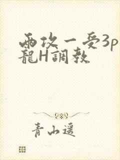 两攻一受3p双龙H调教