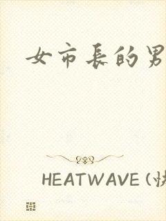 女市长的男秘书